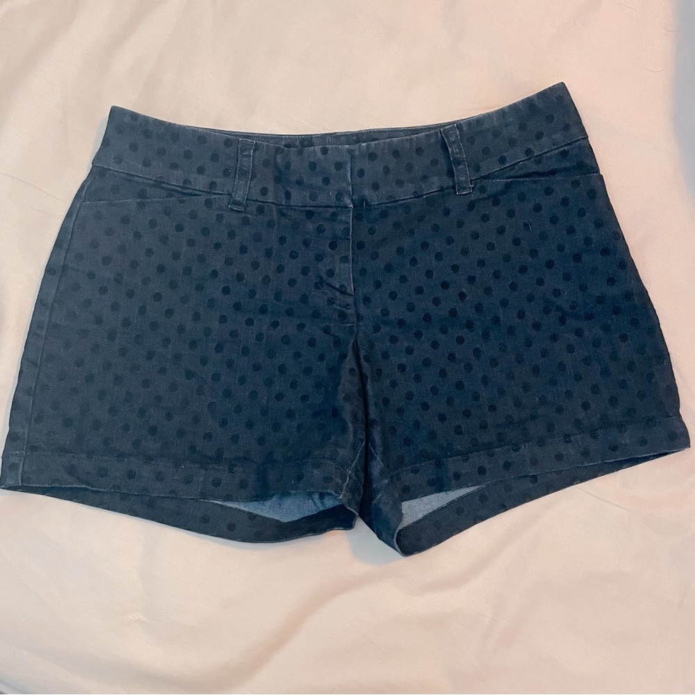 NWOT The Limited Flocked Polka Dot Shorts